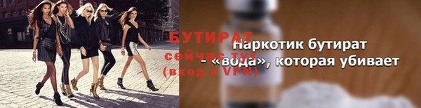 прущие грибы Бородино