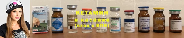 прущие грибы Бородино