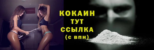 трава Няндома