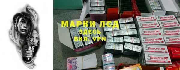 прущие грибы Бородино