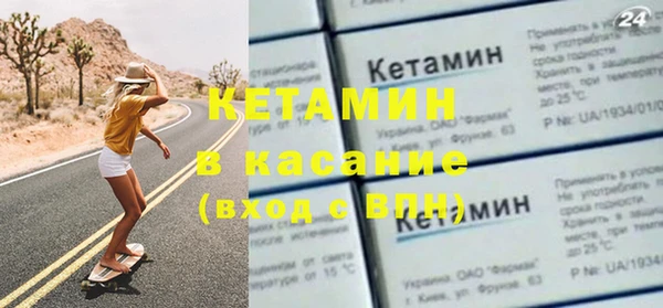 прущие грибы Бородино