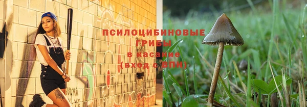 прущие грибы Бородино