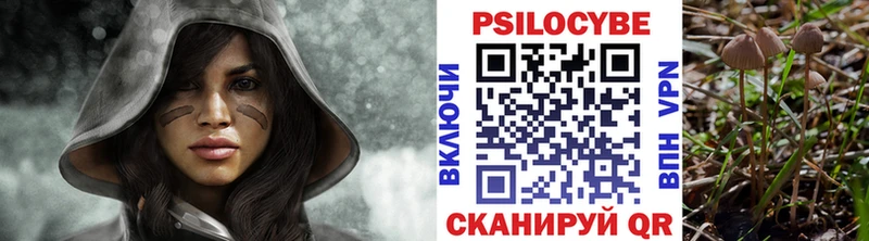 Купить закладки  Константиновск  Псилоцибиновые грибы Magic Shrooms 