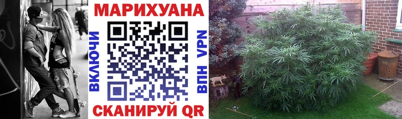Марихуана планчик  Купить где  Константиновск 